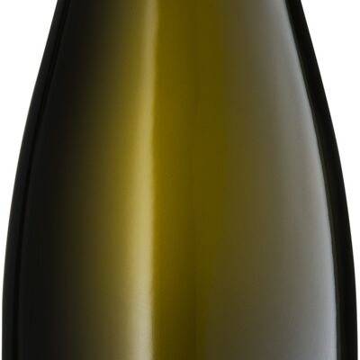 ON THE SCHNAPP Riesling dry (2021) -BIO- (pack x150)