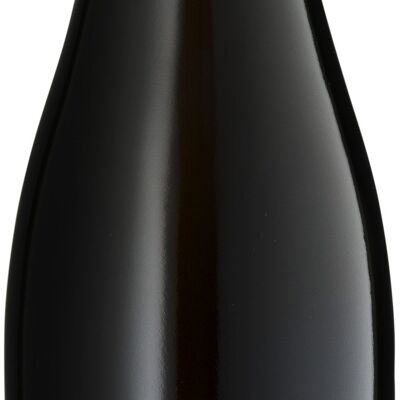 Pinot Noir seco (2020) -BIO- (Pack x150)