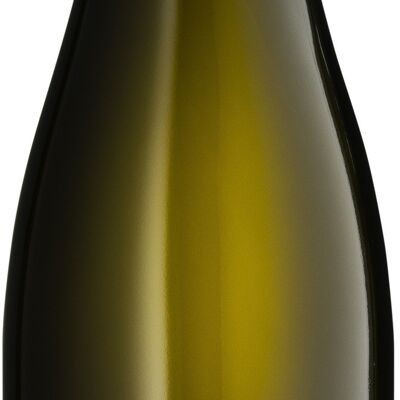 Pinot Blanc seco (2021) -BIO- (Pack x300)