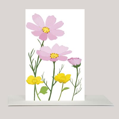 Mini greeting card »Cosmea«