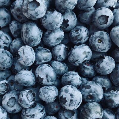 Bulk jam | Wild Blueberry - Gooseberry - ORGANIC | Bib 5 kg.