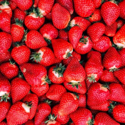 Bulk-Marmelade | Erdbeer-Rhabarber - BIO | Lätzchen 5 kg.