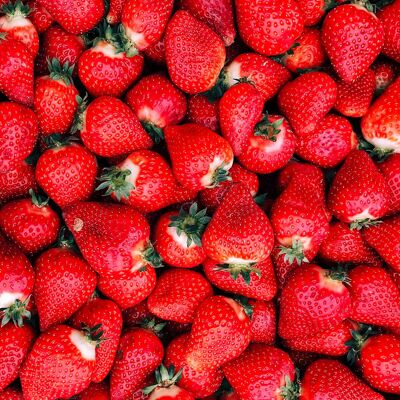 Confiture vrac | Fraise-Rhubarbe - BIO | Bib 5 kg.