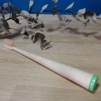 Brosse à dents en bambou - Coloris Vert 2
