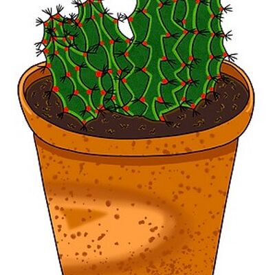 Cactus vert