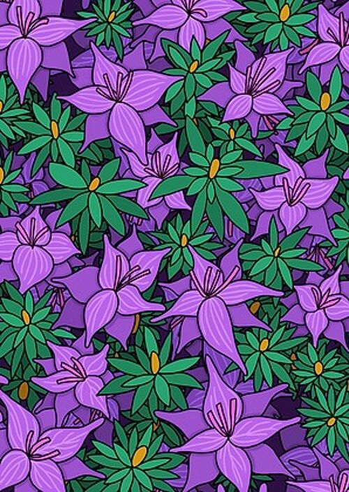 Purple flowers