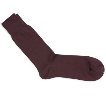 Bordeauxrode katoenen sokken | Carlo Lanza 2