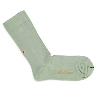 Groene casual sokken | Carlo Lanza 2