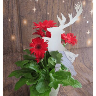 Shiny Christmas Reindeer – Christmas Range