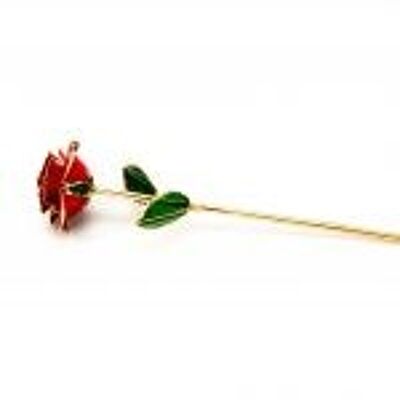 Luxury Red & Gold Rose in Gift Box