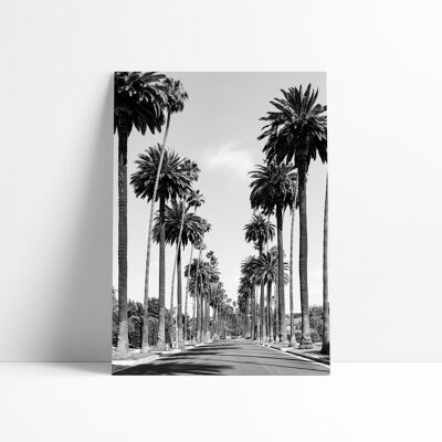 Poster 30x40-Palm of Beverly Hills