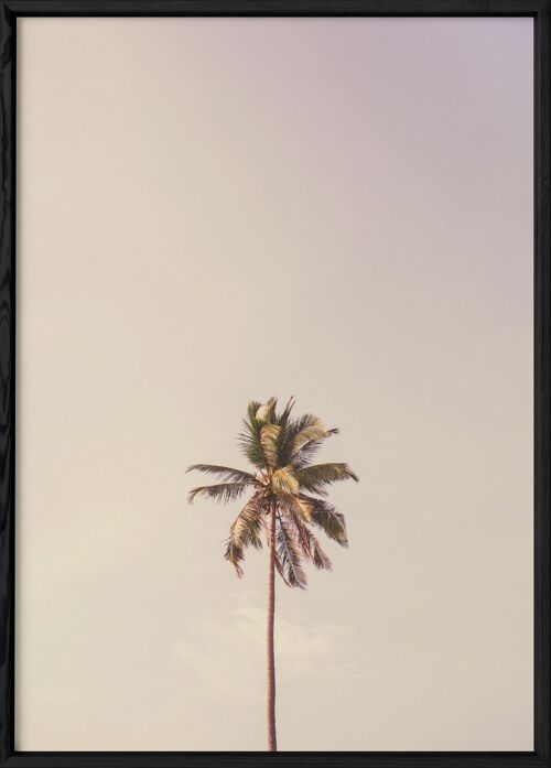 Affiche Palm Trees 6