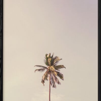 Poster Palm Trees 6