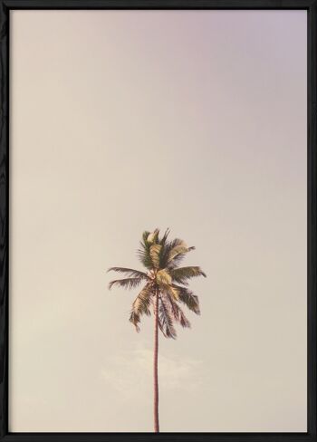 Affiche Palm Trees 6