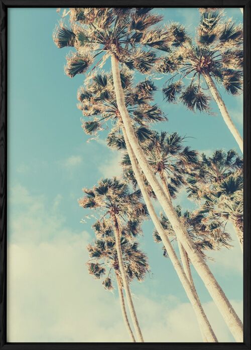 Affiche Palm Trees 7