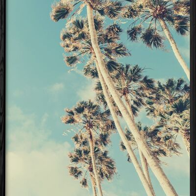 Poster Palm Trees 7