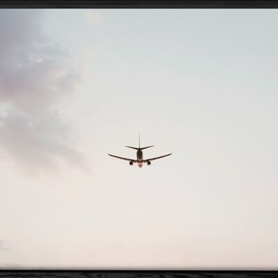 Flugzeug-Natur-Plakat