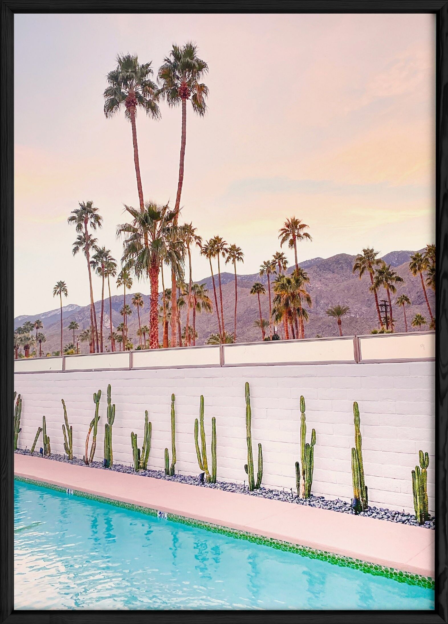 Tropisches Naturposter 1