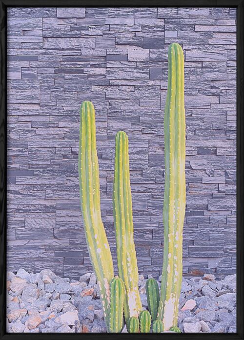 Affiche nature Cactus 2