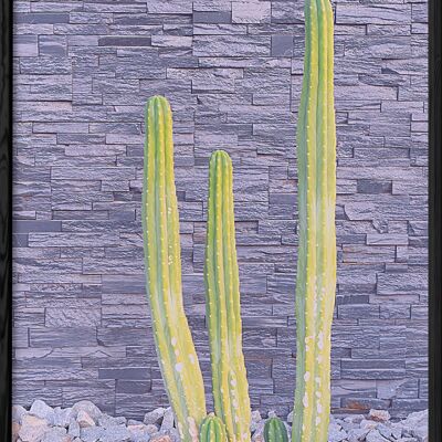 Kaktus-Naturposter 2