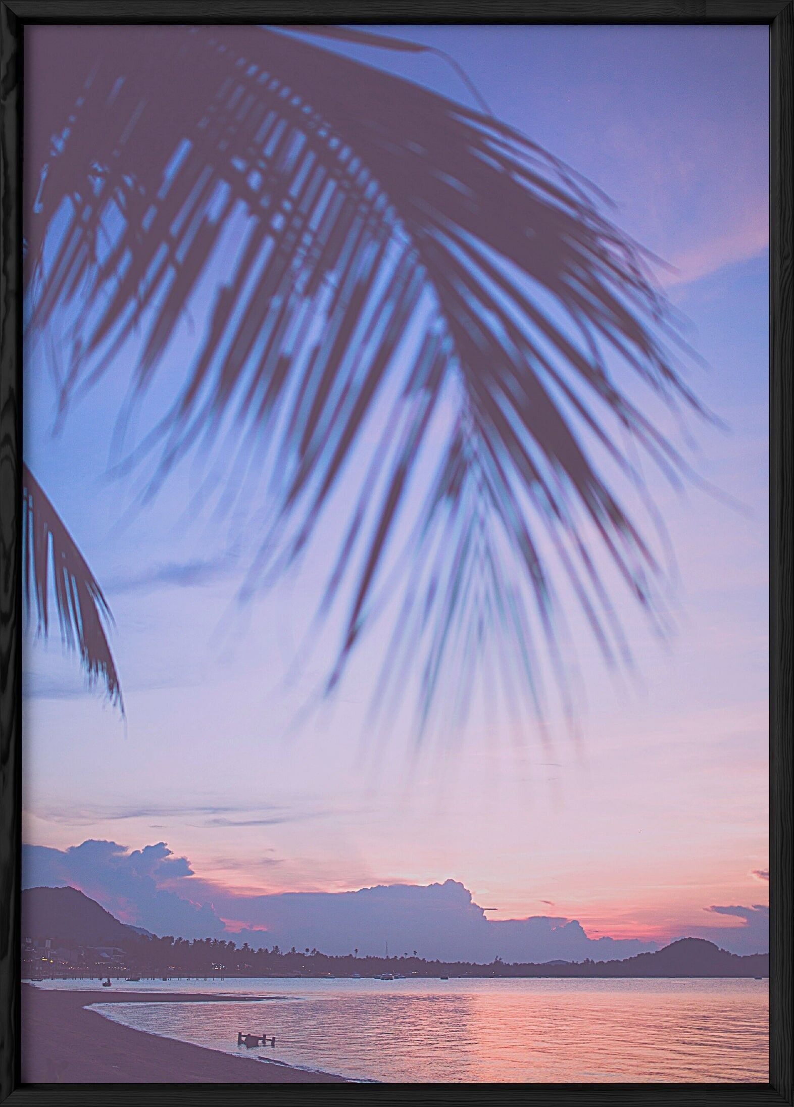 Cartel de naturaleza tropical 6