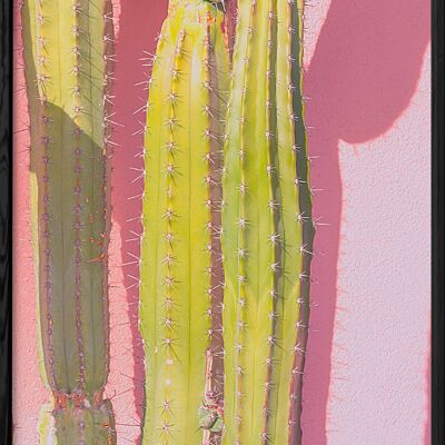 Cactus nature poster