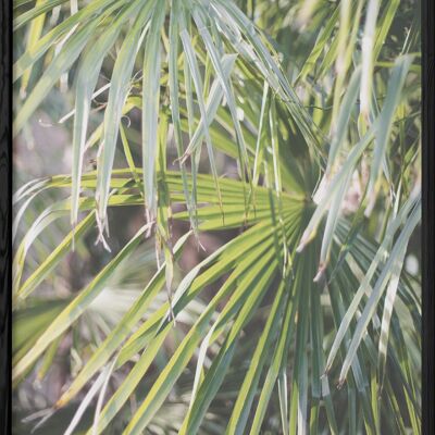 Palm Tree Leaf Poster