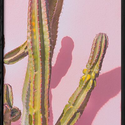 Cartel de naturaleza de cactus 4
