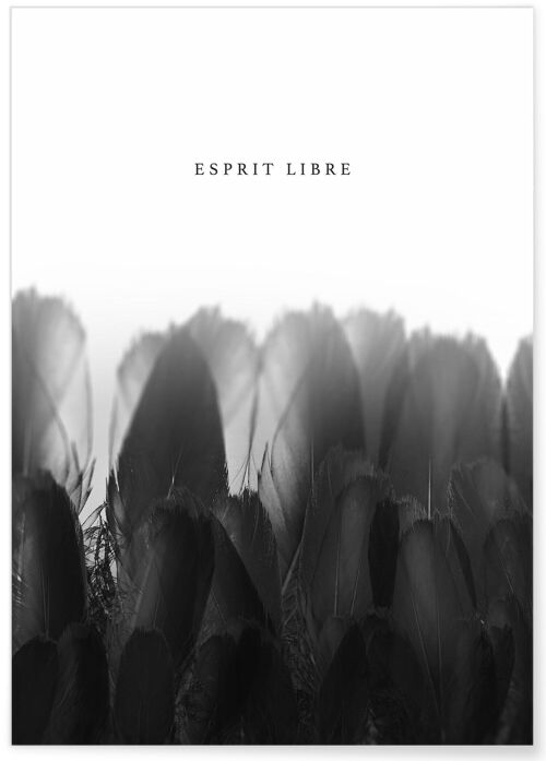 Affiche Esprit Libre