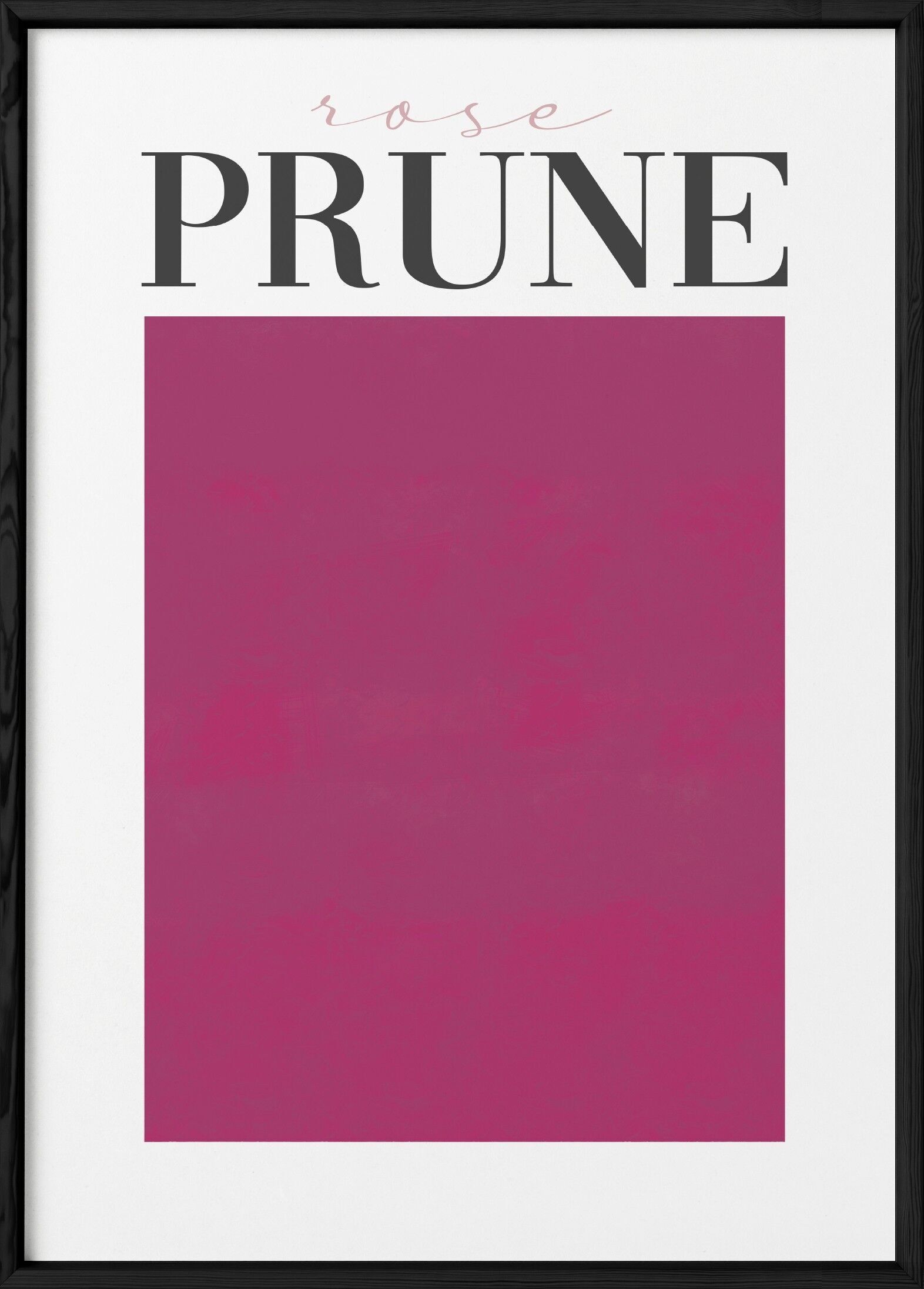 Plum Rose Poster