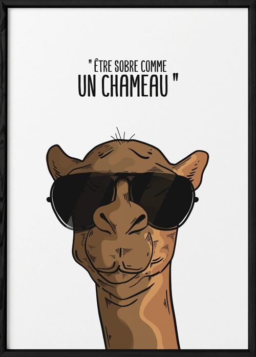 Affiche "Sobre comme un chameau"