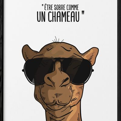 Affiche "Sobre comme un chameau"