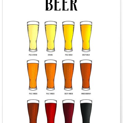 Type of beer poster