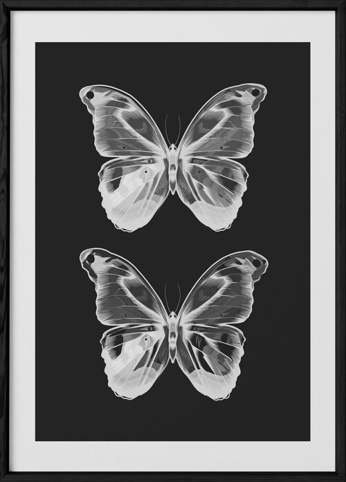 Affiche Papillons   2