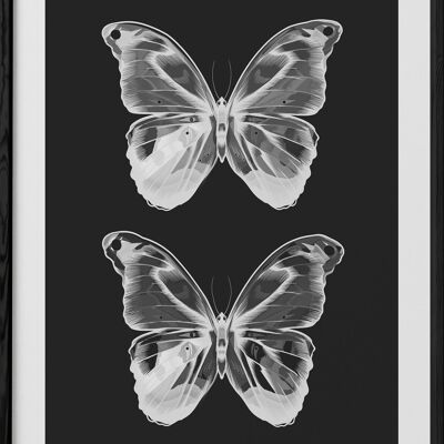 Affiche Papillons   2