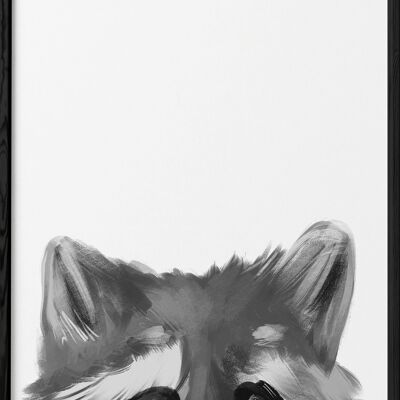 Racoon poster