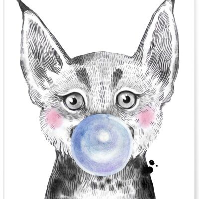 Blue Lynx Bubble