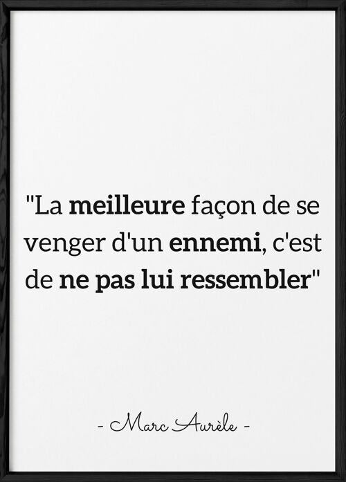 Affiche citation Marc Aurèle "la meilleure façon..."