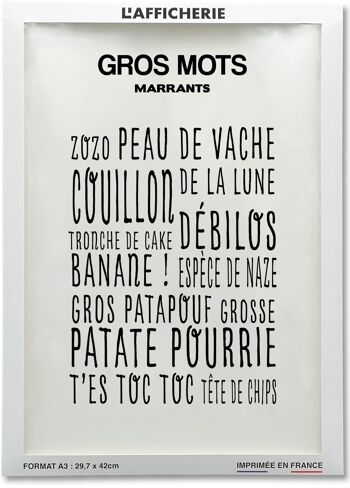 Affiche Gros Mots Marrants 2