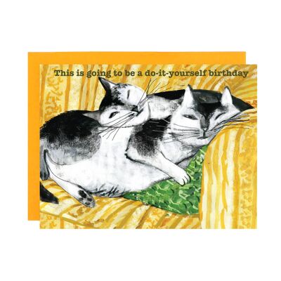 Feline Felicitations - Set of 8 Cards