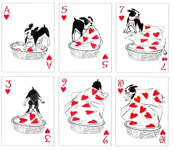 Pack de chiens jouant aux cartes 7