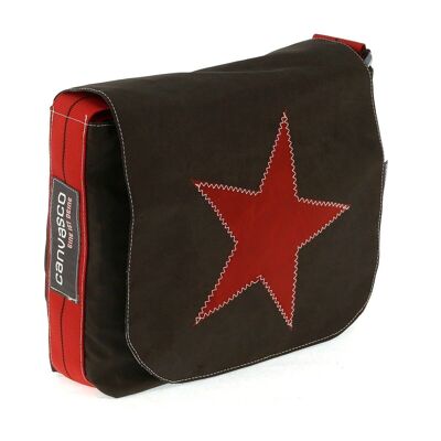 MINI, Canvas Collection, Chocolate Red Star