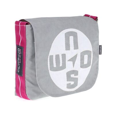 MINI, Canvas Collection, Gray Pink Compass