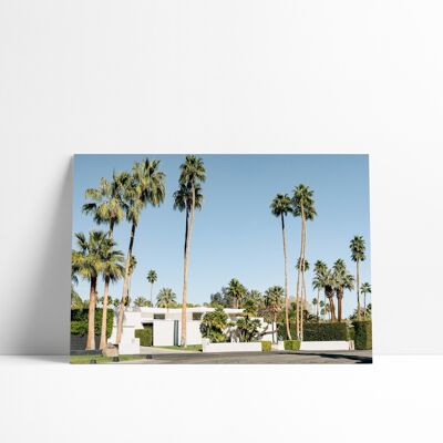 Poster 30x40-Palm Spring - Palm House