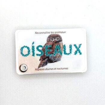 Carnet oiseaux - rapaces 1