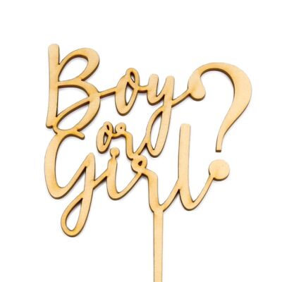 Boy or Girl? - Cake Topper - Wood