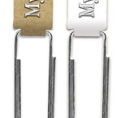 Paper clips "My favourite, silver"