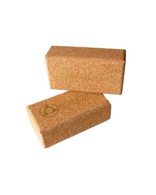 Yoga Set of 2 Cork Block Pluto IV Gold