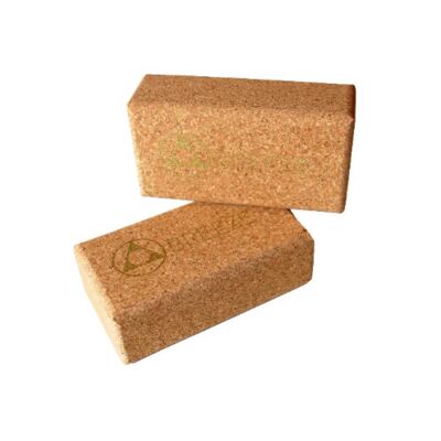 Yoga Set of 2 Cork Block Pluto IV Gold