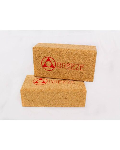 Yoga Set of 2 cork blocks Pluto Red